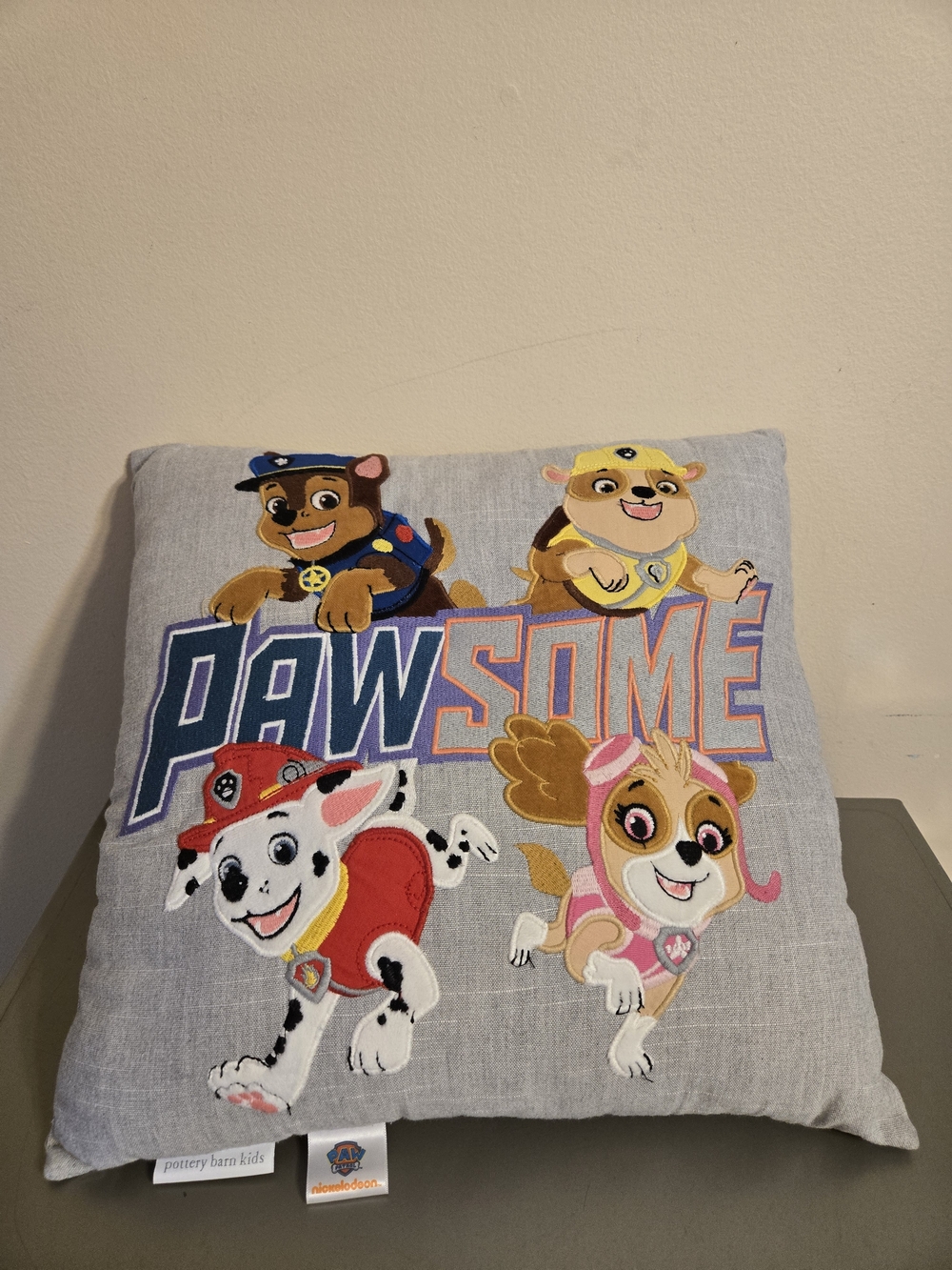 Pottery Barn Kids Paw Patrol 14" Throw Pillow